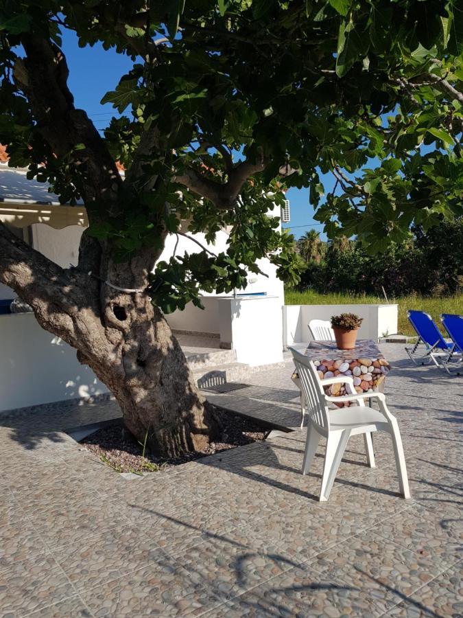 Eleni B&B Limani Kapis 外观 照片