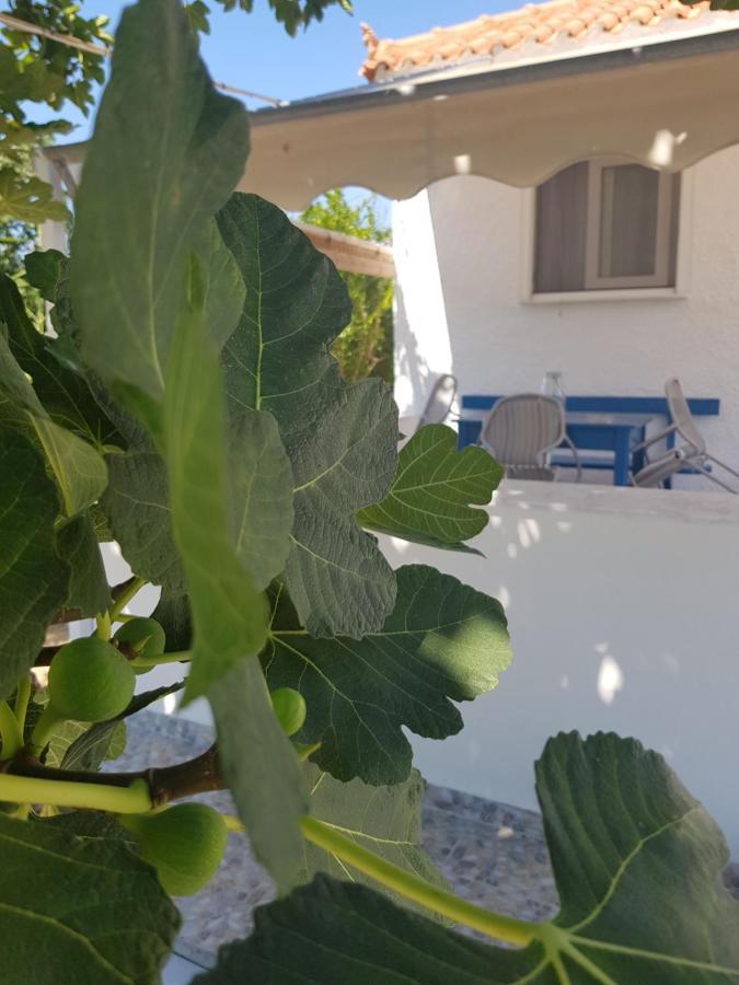Eleni B&B Limani Kapis 外观 照片