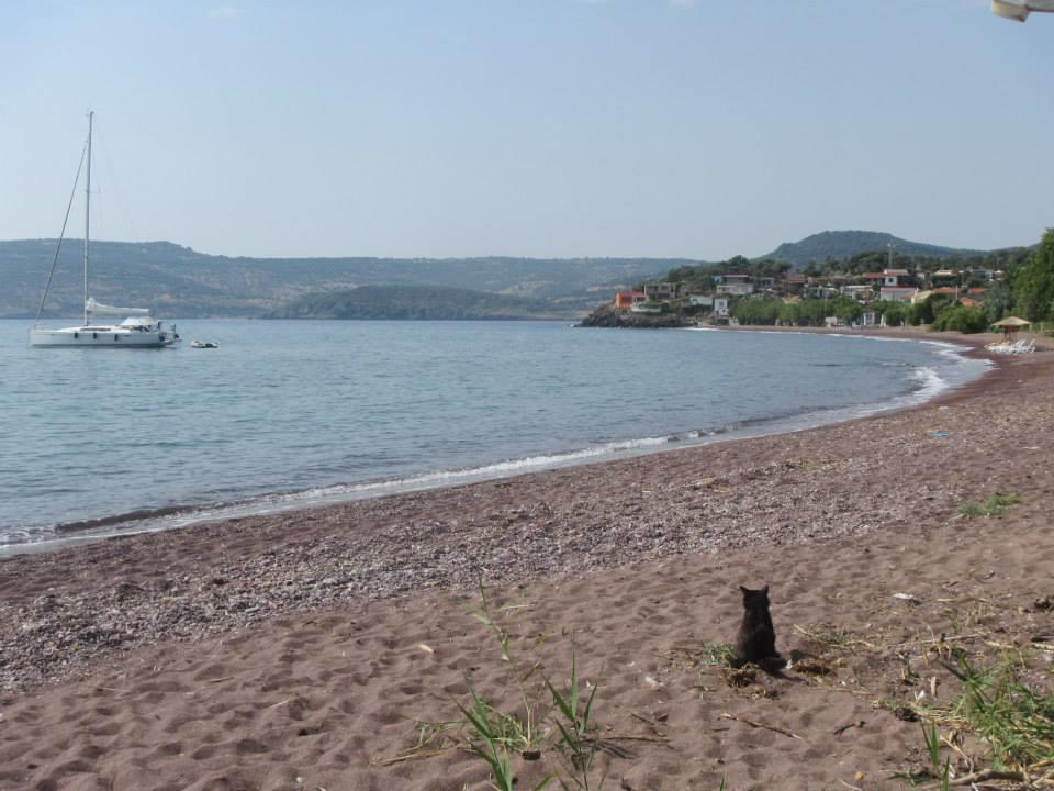 Eleni B&B Limani Kapis 外观 照片